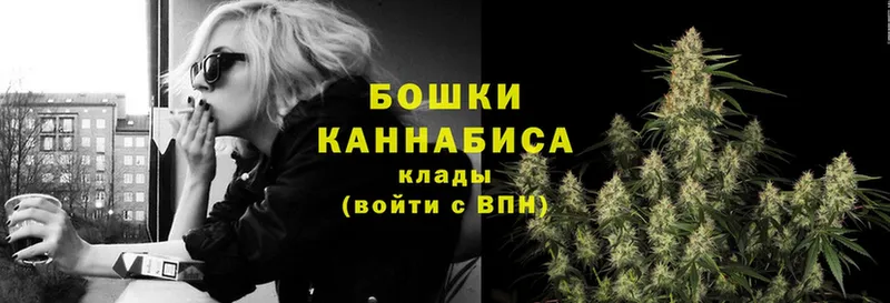 Бошки марихуана Ganja  кракен сайт  Дмитровск 